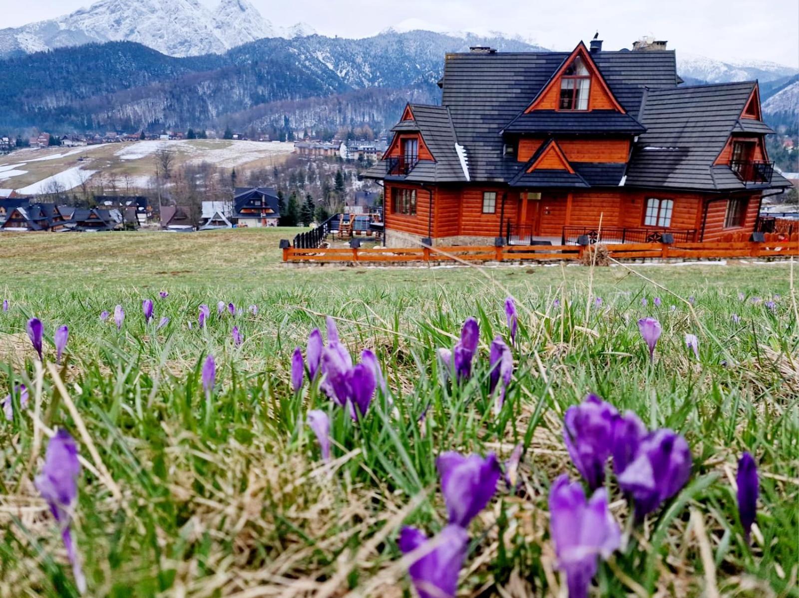 Goralska Prowincja Apartamento Kościelisko Exterior foto